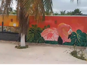 place photo 66