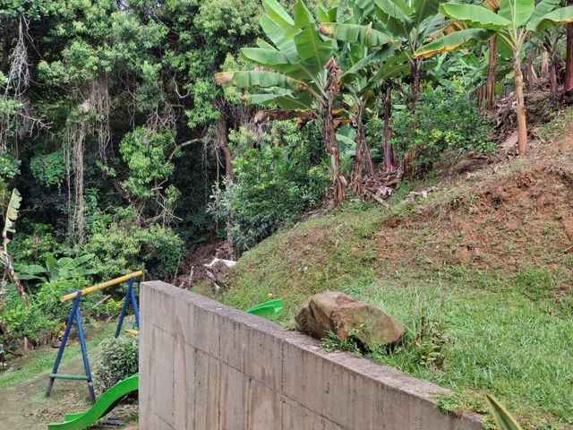 place photo 45