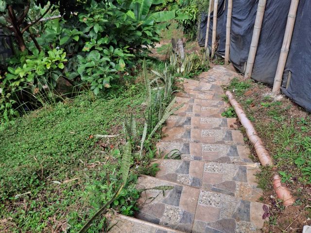 place photo 63