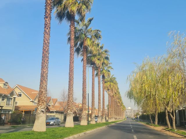 place photo 34