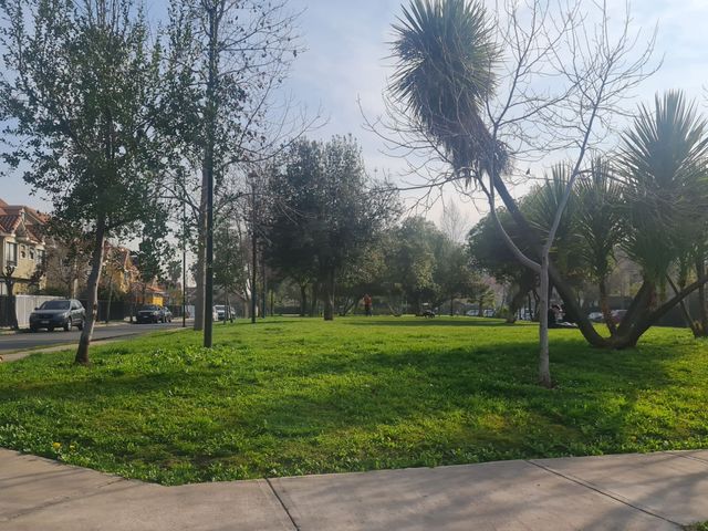 place photo 31