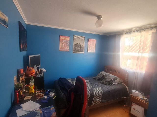 place photo 37