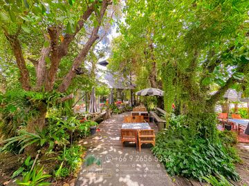 place photo 41