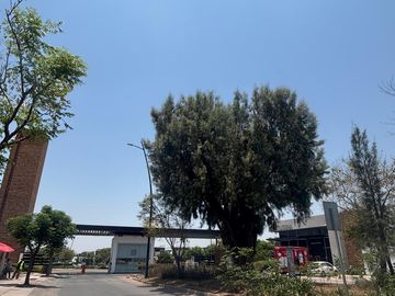 place photo 23