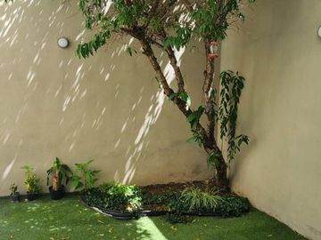 place photo 29