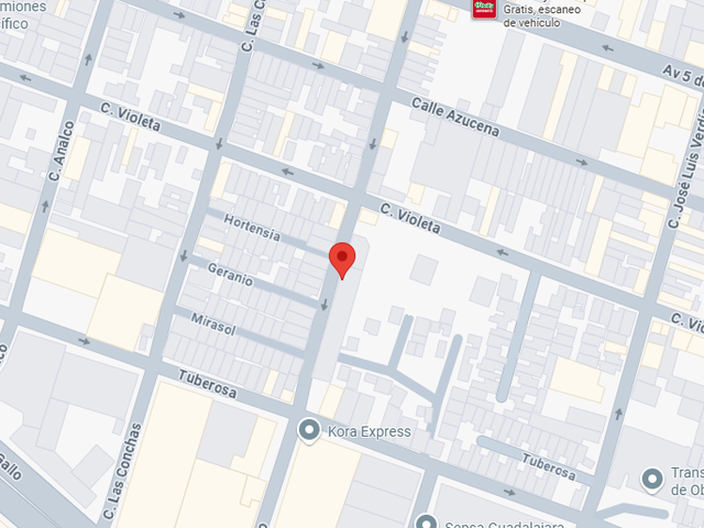 place photo 11