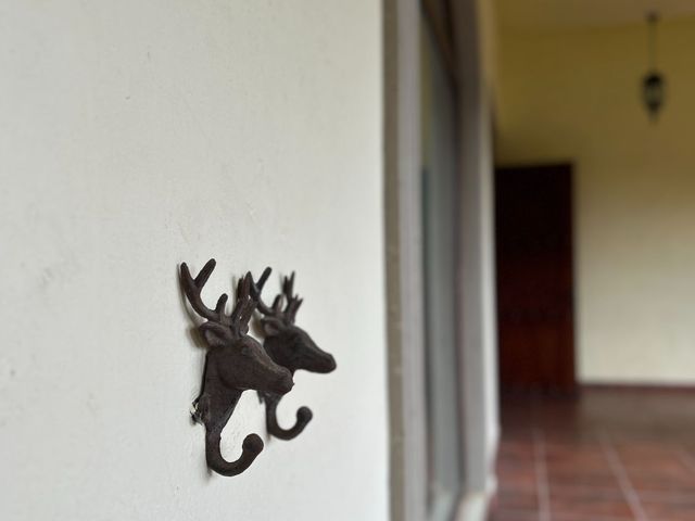 place photo 48