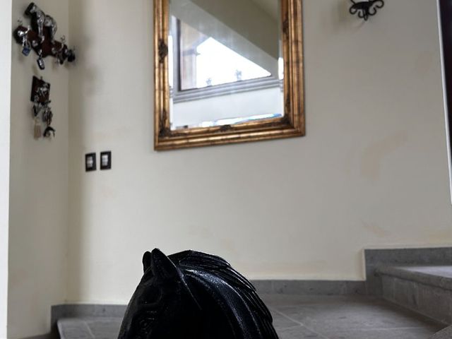 place photo 67