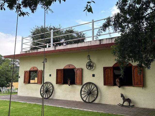 place photo 79