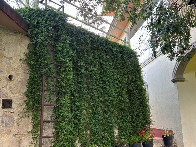 place photo 80