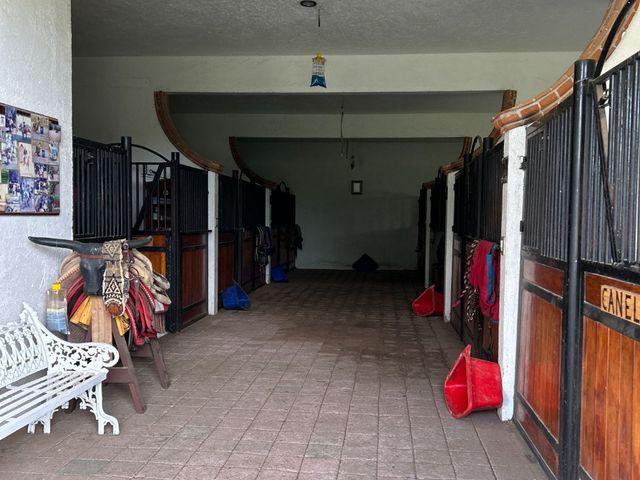 place photo 82