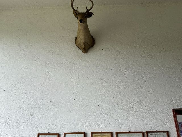 place photo 85