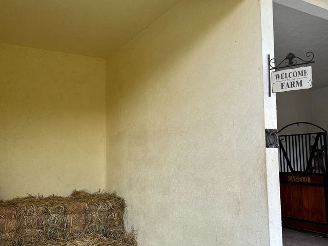 place photo 86