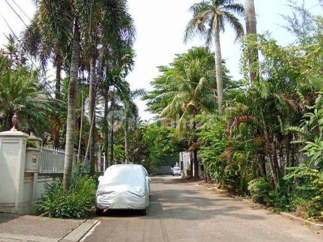 place photo 20