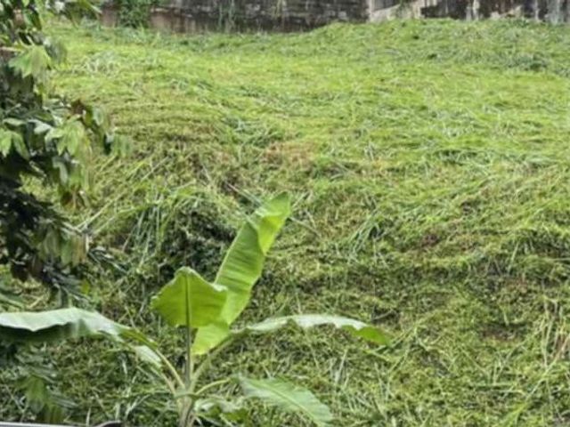 Vacant Lot for Sale in Sultan Kudarat St., Ayala Heights, Quezon City