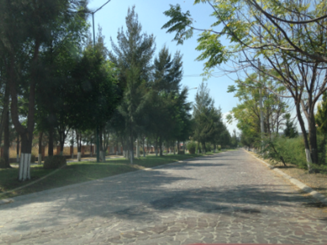 place photo 4