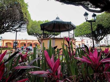 place photo 4