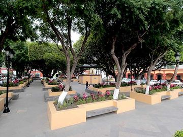 place photo 6