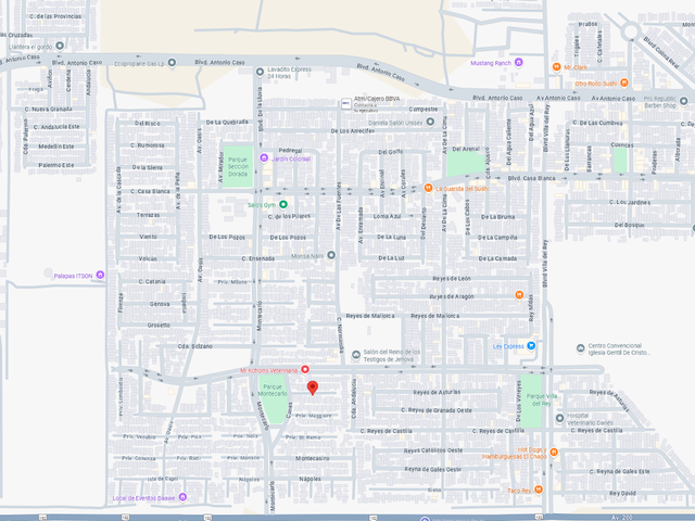 place photo 7
