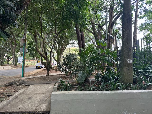 place photo 33