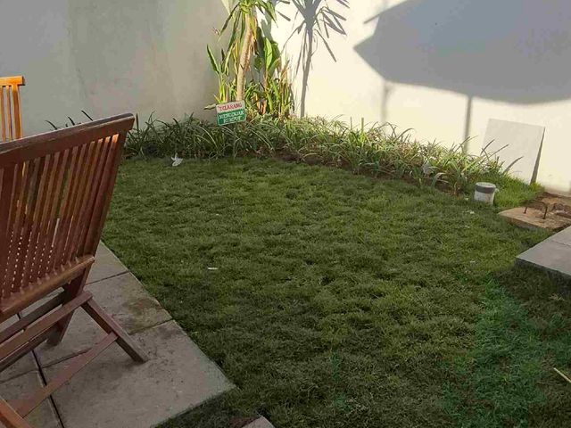 place photo 23