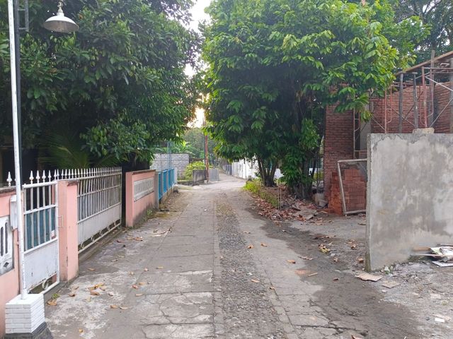place photo 4