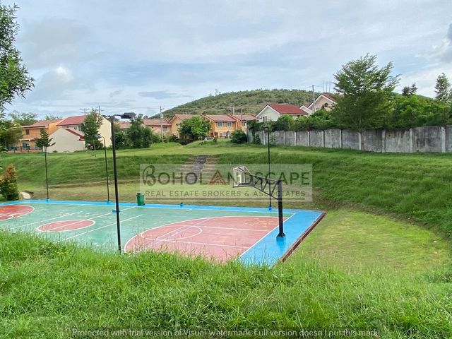 place photo 21