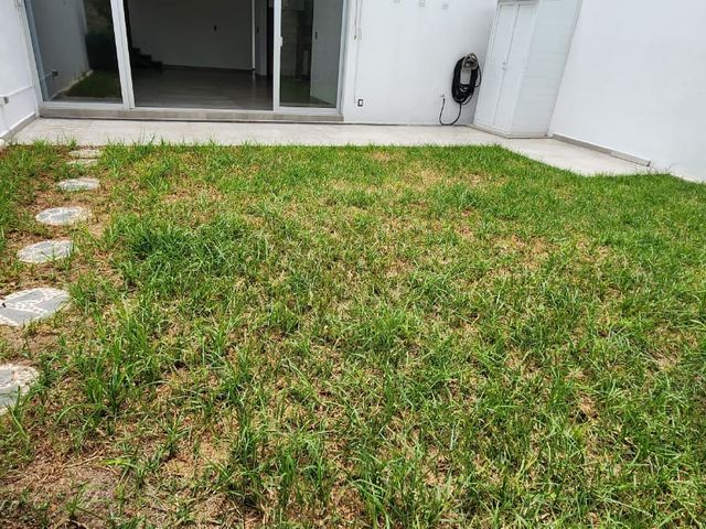 place photo 37