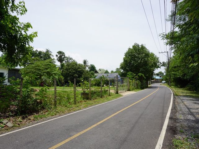 place photo 58