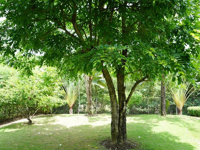place photo 56