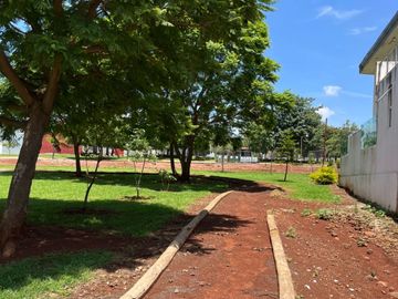 place photo 38