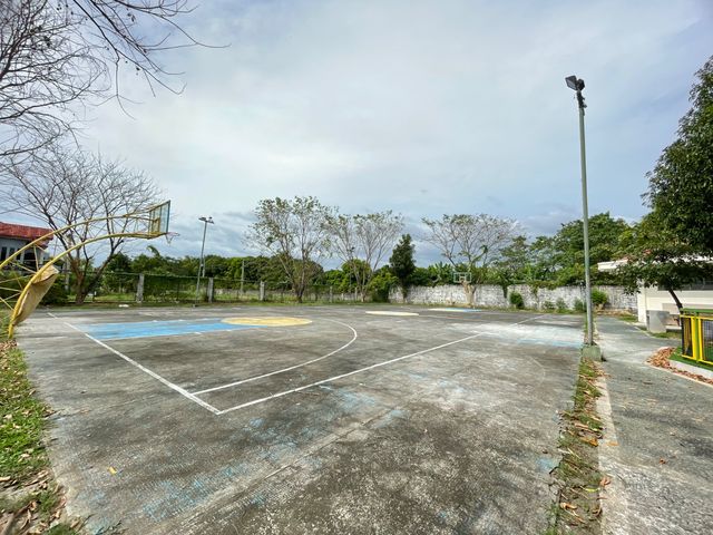 place photo 24