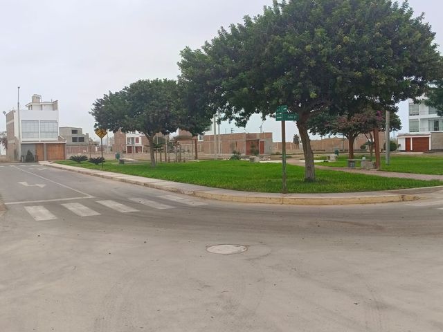 place photo 19