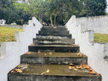 place photo 50