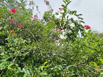place photo 50