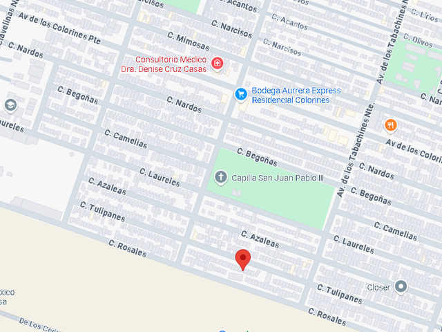 place photo 12
