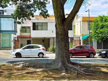 place photo 28