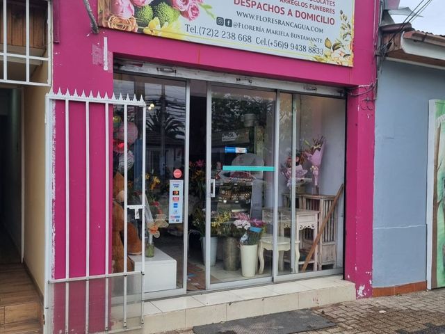 place photo 14