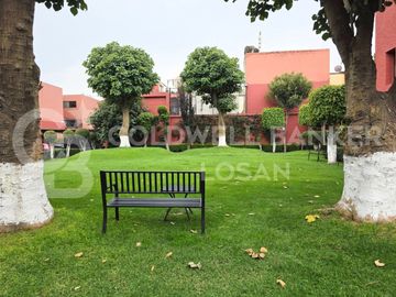 place photo 42