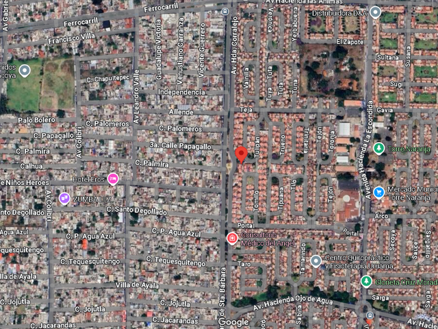 place photo 12