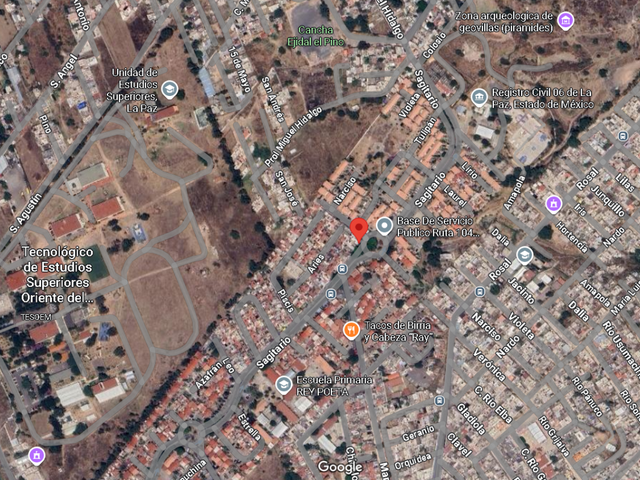 place photo 17