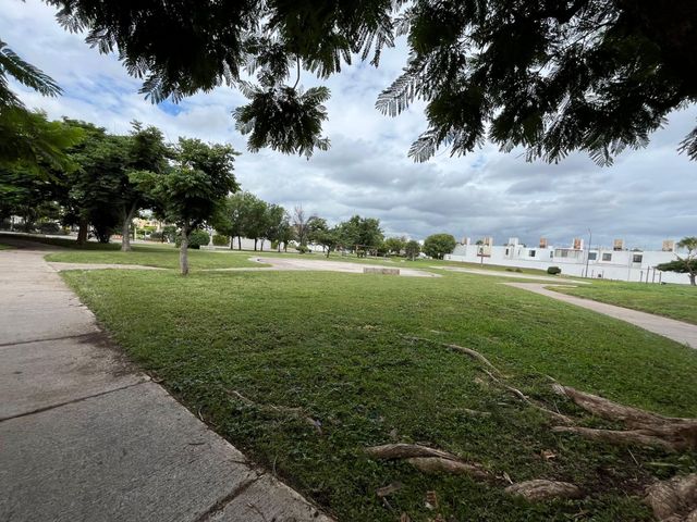 place photo 27