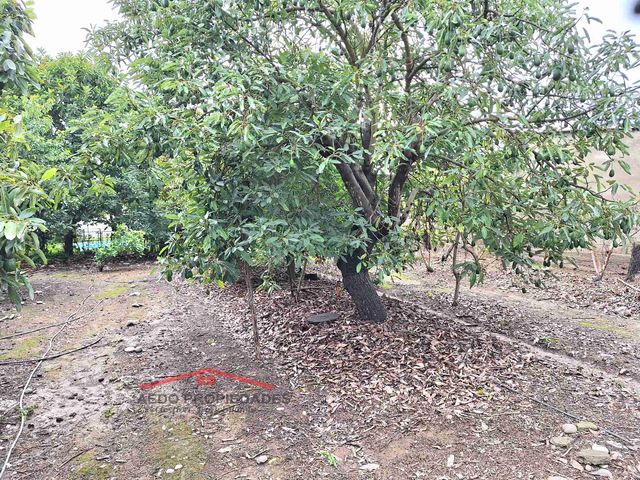 place photo 33