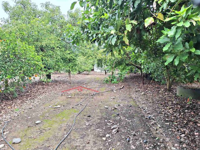 place photo 34