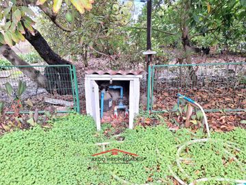 place photo 36