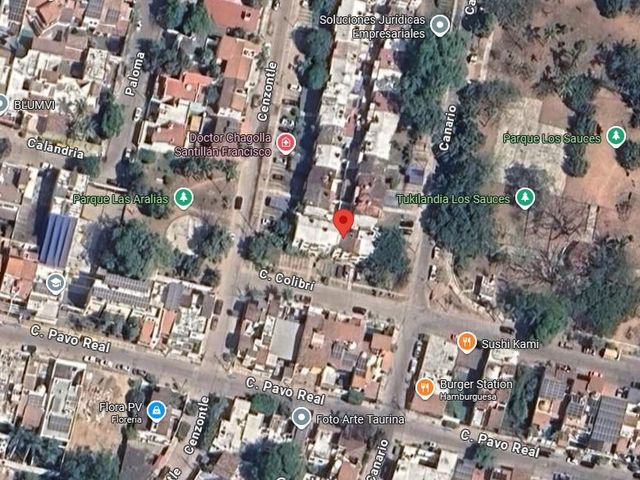 place photo 9