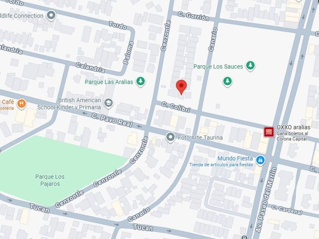 place photo 13
