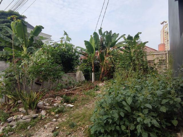 place photo 7