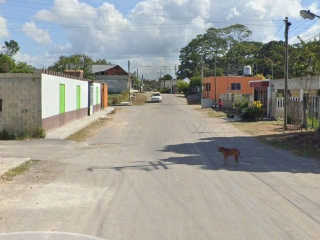 place photo 3
