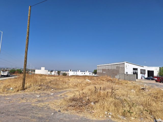 place photo 17